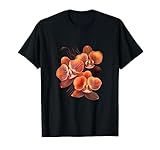 Phalaenopsis Orchid Art Houseplant Flowering