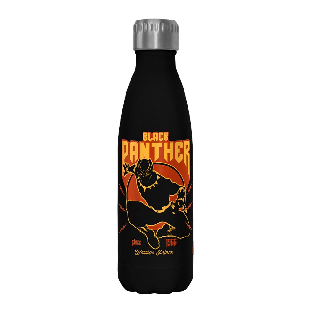 Marvel Lighting Panther 17 oz Stainless Steel Water Bottle, 17 Ounce, Multicolored