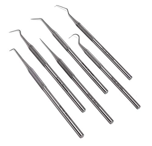 6-Piece Stainless Steel Precision Probe Set: Straight, Single, Short Double, Long Double, Triple And Hook Tips 5.5" (14Cm) #TOP11