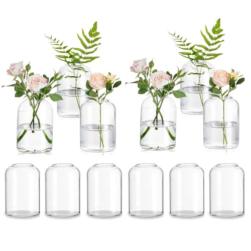 Glasseam Glass Bud Vases for Centerpieces: Clear Small Flower Vase