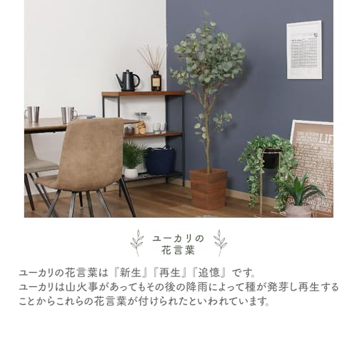 不二貿易 フェイクグリーン インテリアグリーン 人工観葉植物 幅85×奥行70×高さ150cm ユーカリ コンパクト収納 41120 大型 [3]