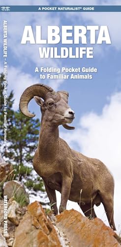 Alberta Wildlife, 2nd Ed (Nature Observation North America)