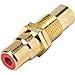Steren Single RCA Coupler - Red Band