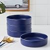 Stone Lain Cleo Stoneware 16-Piece Modern Dinnerware Set, Plates and Bowls, Blue, Service for 4, Microwave & Dishwasher Safe