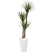 Nearly Natural 74? Yucca Artificial White Tower Planter Silk Trees, Green