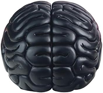 mildahjoy Brain Bookends, 6.5Inch Tall Brain Decorative Resin Book Shelf Organizers Book Holders Shelf Dividers Book Ends for Home or Office Shelves Brain Sculpture Bookend Set
