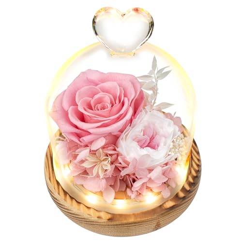 Preserved Roses Gift Dome
