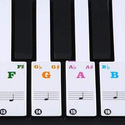 iLearnMusic Roll Up Piano, Premium Grade Silicone, Built-in Amplifying Speakers - Educational Piano (Piano Sticker (All Sizes 88/61/49))
