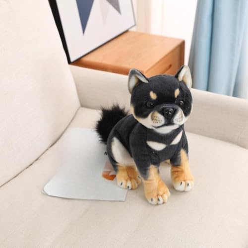 BLINGOOD薍 킢Ė{̎Čʂ ̎pŐԂ̔Fm\͂܂ Mtg (S-20*18*12CM,ubNB) [sAi]