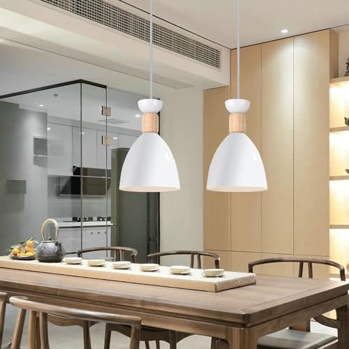 Image of DarkVision White Hanging Lights for Living Room /Pendant Lights for Ceiling /Hanging Lamps for Home Decoration /Ceiling Light for Living Room /Decorative Hanging Lights,Metal (Without Bulb) (HL White)