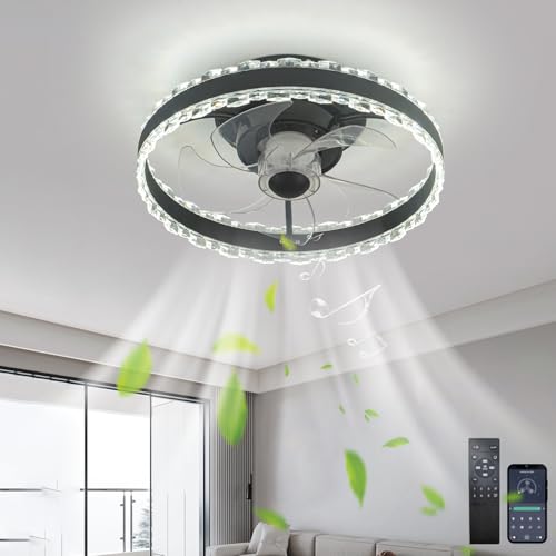 LASANYA Lampara Ventilador Techo con Mando a Distancia 40CM Moderna Silenciosa LED Ventilador de Techo con Luz 6 Velocidades Regulable Luz para Salón, Comedor-Negro