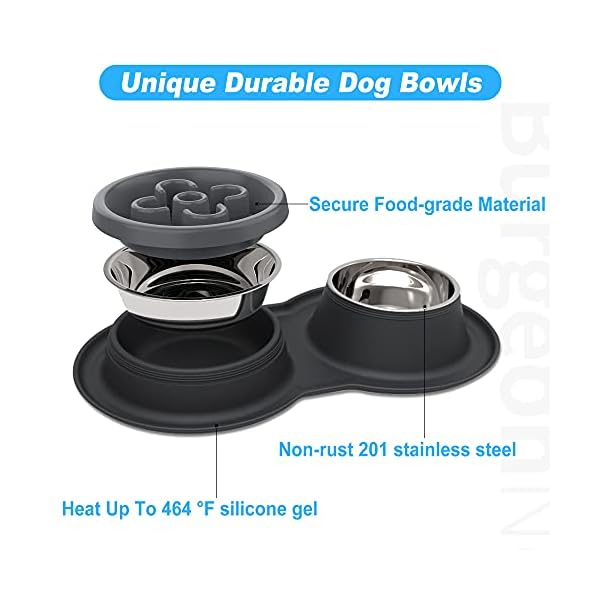 4-in-1 Dog Bowls Set