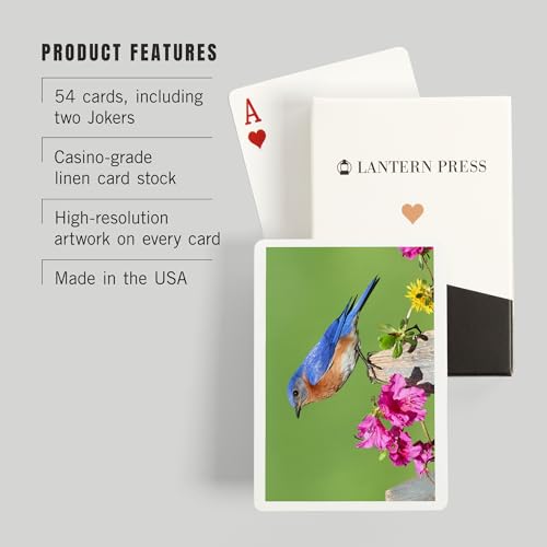 Baraja Eastern Bluebird 52 Cartas Tamaño Póker miniatura 3