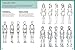 The Art of Figure Drawing for Beginners: Learn to use basic shapes and art mannequins to draw faces and figures (Collector's Series)
