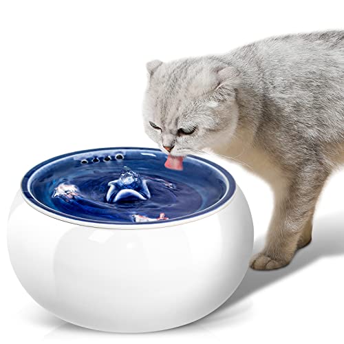 Top 10 Ceramic Cat Fountain of 2022 Savorysights