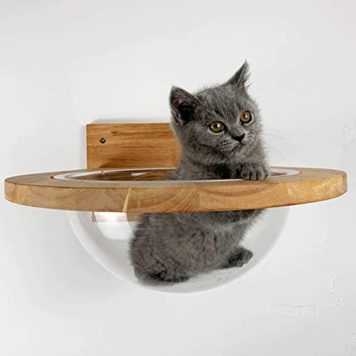 Cama de gato montada na parede,Casa de parede do gato,Camas modernas para gato grande ou gatinho,Cam