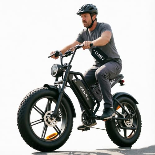 Fat Tire Electric Foldable Bike with LCD and Battery