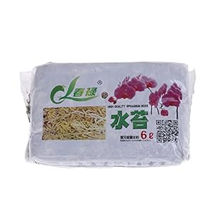 AEOIH Sphagnum mos hydraterende voeding organische meststof beschermen orchidee succulente plant roots Diy Bloempot…