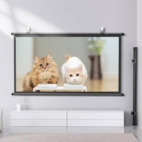 Pantalla manual para proyector HD 50" 4:3