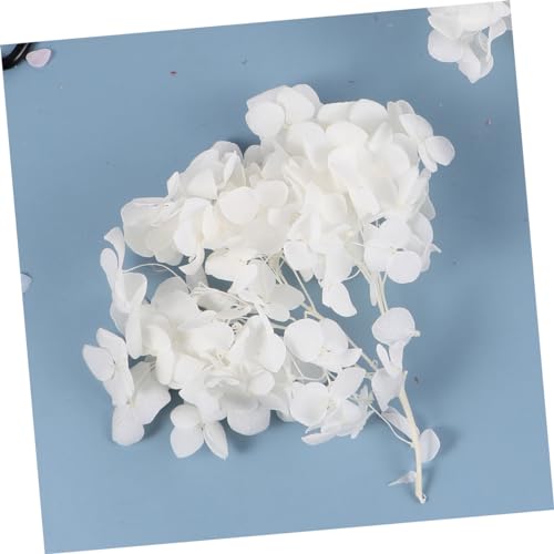 Pétalos de hortensia natural secados para decoración blanco miniatura 5
