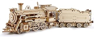 RoWood Model Train 3D Wooden Puzzle, Model Building Jigsaw Puzzle, DIY Train Wooden Model Kit, Wooden Car Kit for Teens and Adults