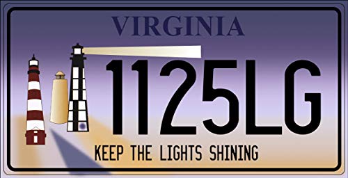 - Lot von 10 US-Metallkennzeichen – Nachbildungen echter amerikanischer Kennzeichen – V2