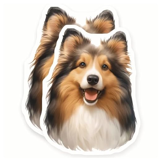 Sheltie Magnets - Shetland Sheepdog - Dog Breed - Cute Puppy Face - 2 Pack - - Sticks to Fridges, Lockers, Toolboxes & More - Made in USA - AQM8159