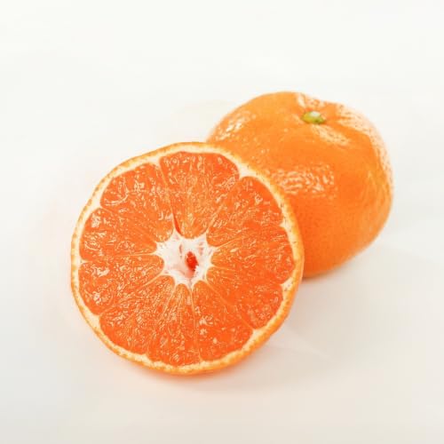 [先行予約][ふるさと納税]有田みかん 早生 温州みかん 2.6kg(箱込み3kg) 訳あり S〜Lサイズおまかせ 柑橘 フルーツ みかん お取り寄せ 温州ミカン