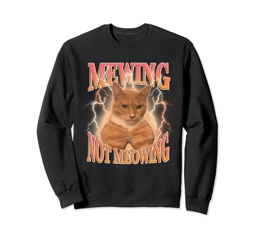 Meme de gato divertido maullando LooksMaxxing Mogged cat Sudadera