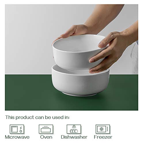 Dowan Large Soup Bowls, 48 Ounce White Ramen Bowls For Noodles, Ceramic Bowl Set For Soup, Cereal, Dessert, Pasta, Salad, 2 Pack #TOP4