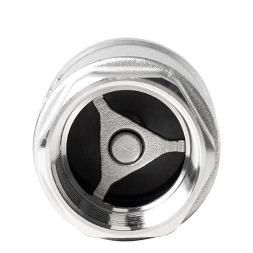 Pompe à eau sans désamorçage grâce au clapet anti-retour vertical inox