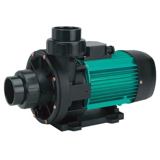Espa Bomba De Natación Contracorriente 31M3 / H 2Cv Monofásica Wiper3 200 Mono