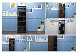 Alps Modern Bookshelf in Walnut Finish