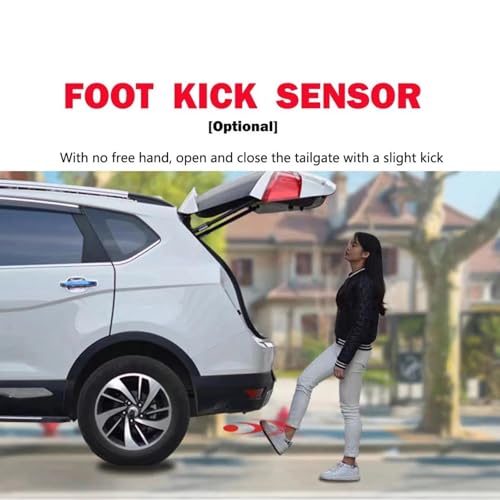 Vérin de hayon électrique intelligent à levage fluide Haval H6