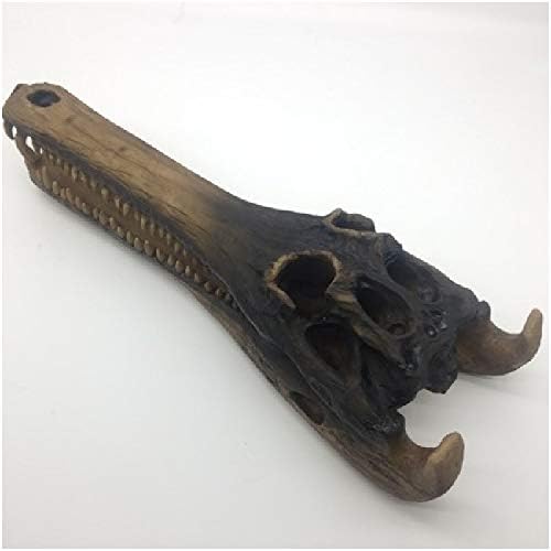 ☆即納☆高品質 美！ シャムワニの全身骨格標本☆ - 頭骨・骨格標本