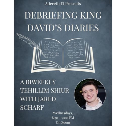 『Debriefing King David's Diaries: Chapter 8』のカバーアート
