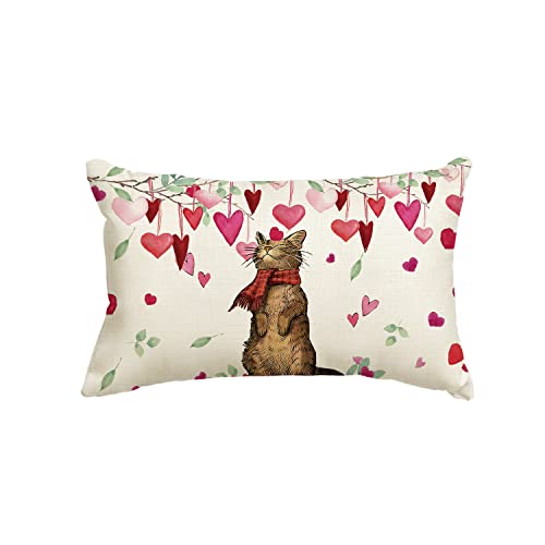 Artoid Mode Funda de cojín para sofá, salón, diseño de corazón, gato, 30 x 50 cm Cover