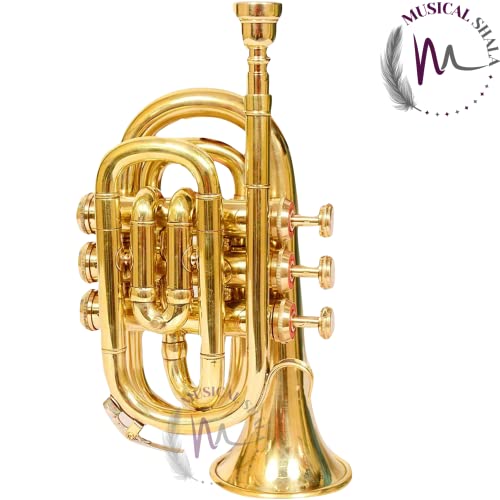 Musical Shala Bb Pocket Trumpet Golden Brass Musical Instruments Best For Begineer, Intermediate Or Advanced With Free Hard Case, Mouthpiece, Spring Set, Pair Of Gloves (Gold) #TOP4