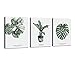 Baisuart Wall Art Decor 3 Pieces Framed Canvas Prints Simple Life Green Leaf Painting Ready to Hang for Home Decoration