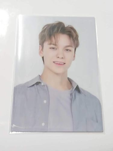 Amazon Co Jp Seventeen Dome Tour Svt トレカ 077バーノン セブチvernonハンソル ホビー 通販