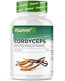 vit4ever Cordyceps Pilz - 300 Kapseln mit 650 mg echtem CS-4 Extrakt - 40% bioaktive Polysaccharide...