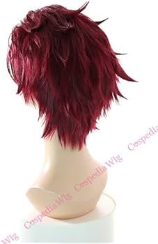 竈門炭治郎 セット済ウィッグ 美容師製作 未使用 鬼滅の刃 Amazon.co.jp: 鬼滅の刃 竈門炭治郎 風 ウィッグ キャラウィッグ 美容