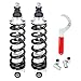 Aldan A891300B Coil-Over Kit