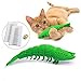Ronton Cat Toothbrush Catnip Toy - Durable Hard Rubber - Cat Dental Care, Cat Interactive Toothbrush Chew Toy (1-Pack Green)