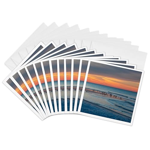 Cartes de vœux oiseaux sur la plage 15x15 cm 3dRose Gc_321148_2 pour correspondance nature
