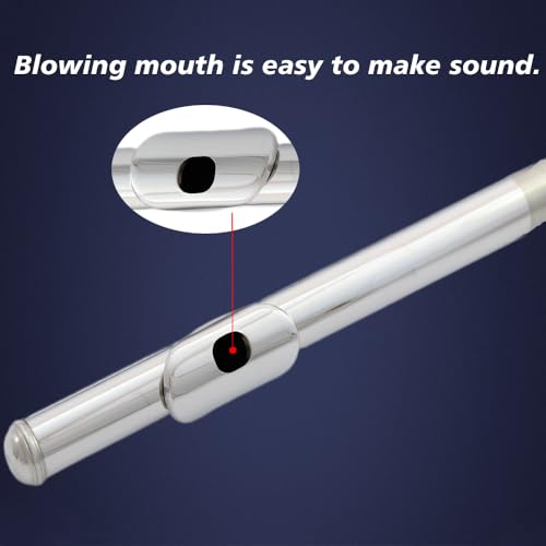 Image of flute 16-hole closed-hole C-tone nickel-plated, beginner to play graded flute, with box and cleaning kit.