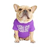 French Bulldog Dog Shirt for Pet Clothes Puppy T-Shirts Cat Tee Breathable Stretchy Costumes Medium