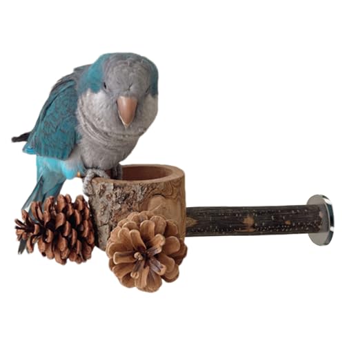 Perchoirs pour perruche accessoires cage jouet mangeoire animaux de compagnie - 2