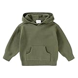 YOUNGER STAR Toddler Baby Girl Boy Knit Sweater Hooded Long Sleeve Sweatshirt Tops Fall Winter Clothes with Pocket(2-3T,Gray Green)