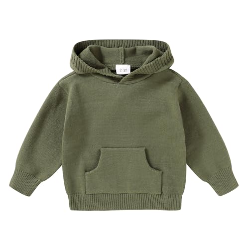 YOUNGER STAR Toddler Baby Girl Boy Knit Sweater Hooded Long Sleeve Sweatshirt Tops Fall Winter Clothes with Pocket(2-3T,Gray Green)